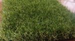 Pasto Sintético 38mm Esencia ARTEGRASS Valor m2 - Imagen 3